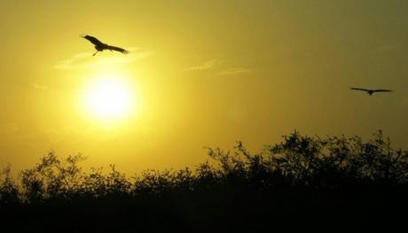 La naturaleza en venta: cuando todo tiene un precio, nada tiene valor La naturaleza en venta: cuando todo tiene un precio, nada tiene valor