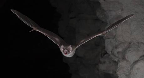 reporte de noticias de la semana