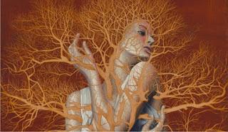 La enfermedad es un mensaje del alma