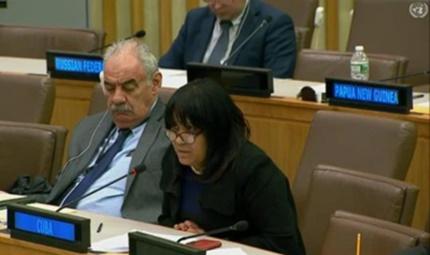 Cuba reelegida para la Vicepresidencia del Comité de Descolonización de las Naciones Unidas