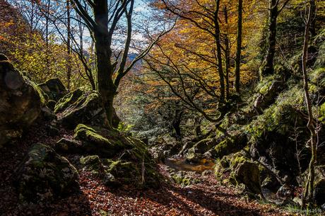 Donde se pierde la corriente