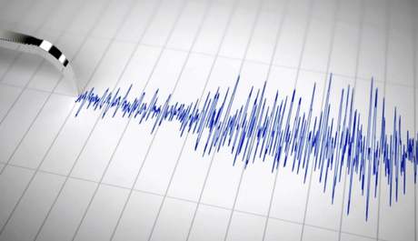 Temblor de menor intensidad se percibió en la región del Biobío y la Araucanía