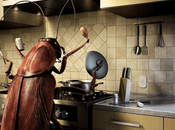 Evitar cucarachas otras plagas