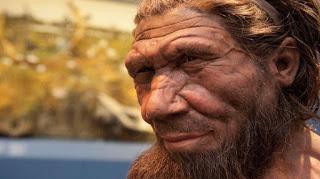 ¿Qué pasa con lo de los neandertales? ¿Qué pasa con lo de los neandertales?