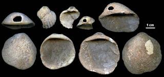 ¿Qué pasa con lo de los neandertales? ¿Qué pasa con lo de los neandertales?