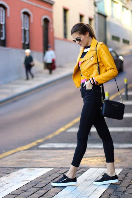 Mustard and Stripes Mustard and Stripes