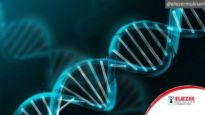 Científicos utilizan el ADN como dispositivo de almacenamiento