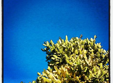 La lluvia inexistente