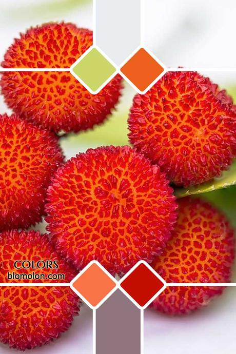 Paletas De Colores 22 Novedades En Color Paletas De Colores 22 Novedades En Color