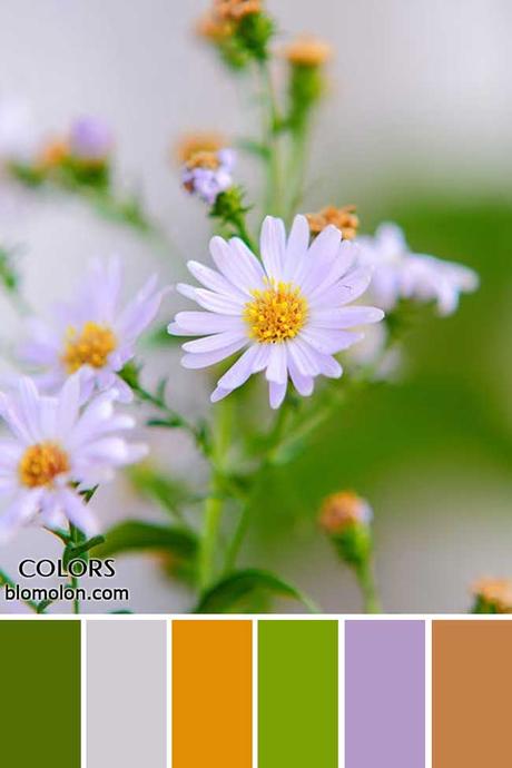 Paletas De Colores 22 Novedades En Color Paletas De Colores 22 Novedades En Color