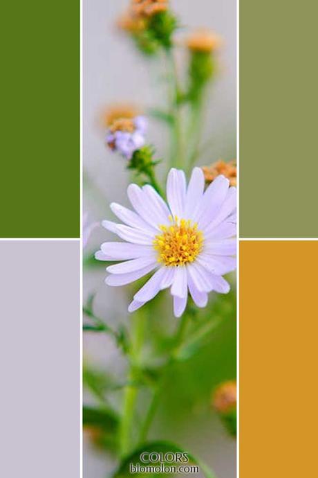 Paletas De Colores 22 Novedades En Color Paletas De Colores 22 Novedades En Color