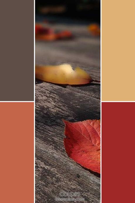 Paletas De Colores 22 Novedades En Color Paletas De Colores 22 Novedades En Color