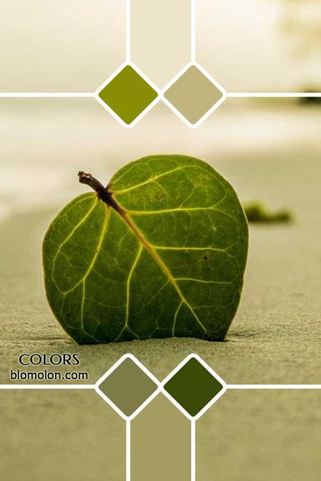 Paletas De Colores 22 Novedades En Color Paletas De Colores 22 Novedades En Color