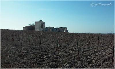 Pago de Miraflores, Carrascal y Torrebreva. Sanlucar.