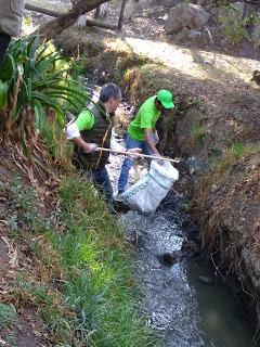 TEXCOCANOS SE UNEN A LA BRIGADA LIMPIEMOS NUESTRO MÉXICO ...