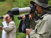 Turismo área conflicto