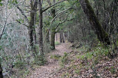 SENDERO DE LA GARGANTA DE VALDEINFIERNO