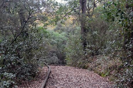 SENDERO DE LA GARGANTA DE VALDEINFIERNO