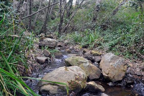 SENDERO DE LA GARGANTA DE VALDEINFIERNO