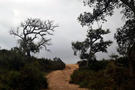 SENDERO DE LA GARGANTA DE VALDEINFIERNO