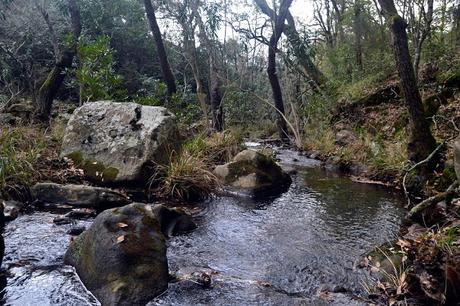 SENDERO DE LA GARGANTA DE VALDEINFIERNO