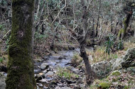 SENDERO DE LA GARGANTA DE VALDEINFIERNO