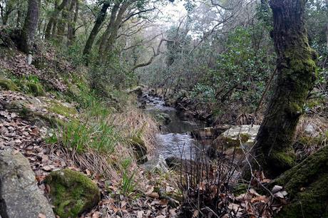 SENDERO DE LA GARGANTA DE VALDEINFIERNO