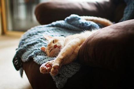 Febrero en imágenes 33df78466f6500e3432bc232be138553