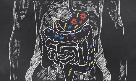 Microbiota intestino irritable