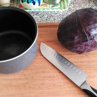 UN INDICADOR DE PH CASERO CON COL LOMBARDA - QUÍMICA EN LA COCINA