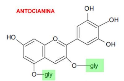 UN INDICADOR DE PH CASERO CON COL LOMBARDA - QUÍMICA EN LA COCINA