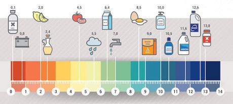 UN INDICADOR DE PH CASERO CON COL LOMBARDA - QUÍMICA EN LA COCINA