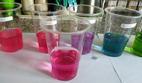 UN INDICADOR DE PH CASERO CON COL LOMBARDA - QUÍMICA EN LA COCINA