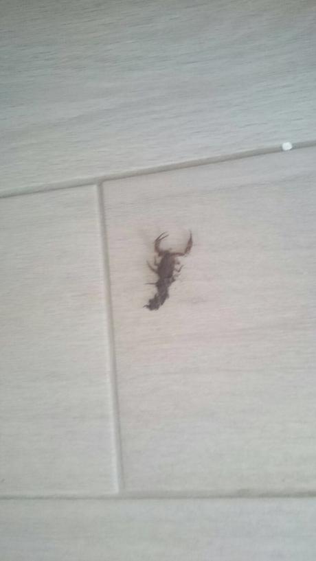 Nuestra vida en Colombia (III): Hacienda Nápoles, Medellín y Guatapé