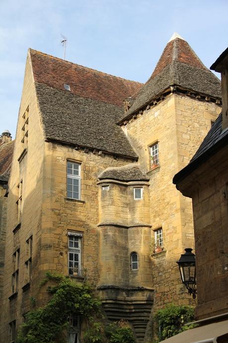 viaje dryb_sarlat (11)