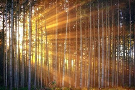 Breve guía para la mejora de tu asertividad Breve guía para la mejora de tu asertividad