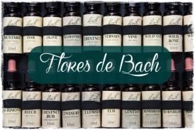 Flores de Bach: Preguntas y respuestas