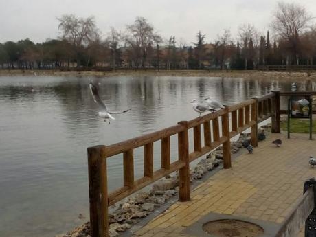 Las rutas de Aver Aves son eternas