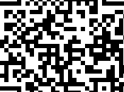 Criptomoneda (NXT)