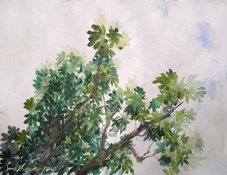 Acuarelas febrero 2018 - 8 años del blog