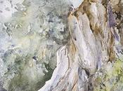 Acuarelas febrero 2018 años blog