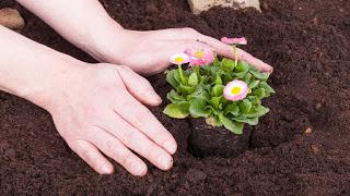 Razones por las cuáles amo el mes de marzo