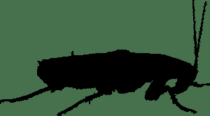 De no impedirse y por decencia, pronto se impartirán clases para delinquir