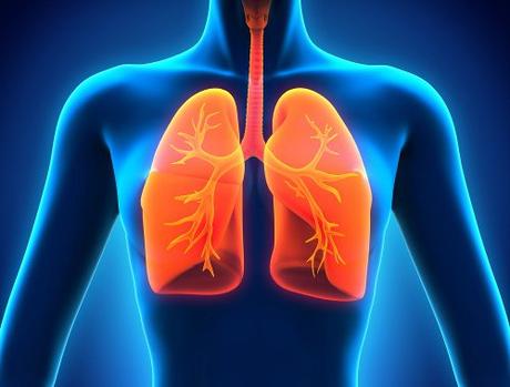 Alimentación para la salud pulmonar y respiratoria