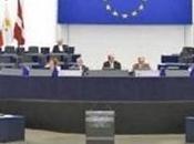 Intergrupo Solidaridad Sáhara Occidental Parlamento Europeo expresa satisfacción sentencia Tribunal
