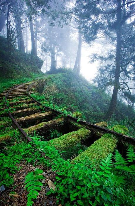 La Vías Verdes, recorridos obligatorios para cualquier cicloturista