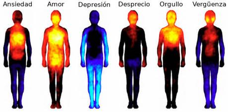 Mapa corporal de las emociones