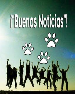 Semiótica de las “buenas nuevas”: Albricia en el País de sus Maravillas