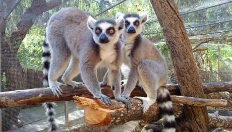 Que Ver En Albufeira, Portugal | 9 Lugares Recomendados Para Pasar Tus Vacaciones