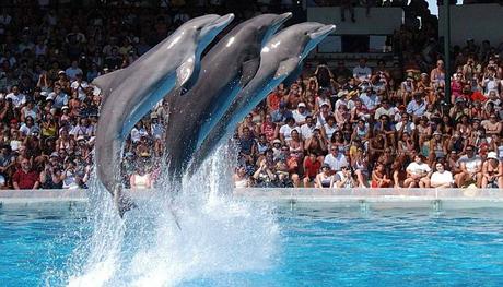 Que Ver En Albufeira, Portugal | 9 Lugares Recomendados Para Pasar Tus Vacaciones